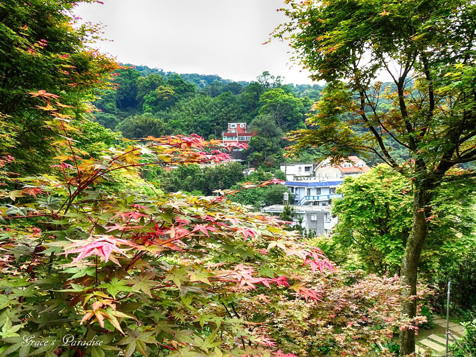 台北奧萬大 (45).jpg 台北奧萬大 (45).jpg