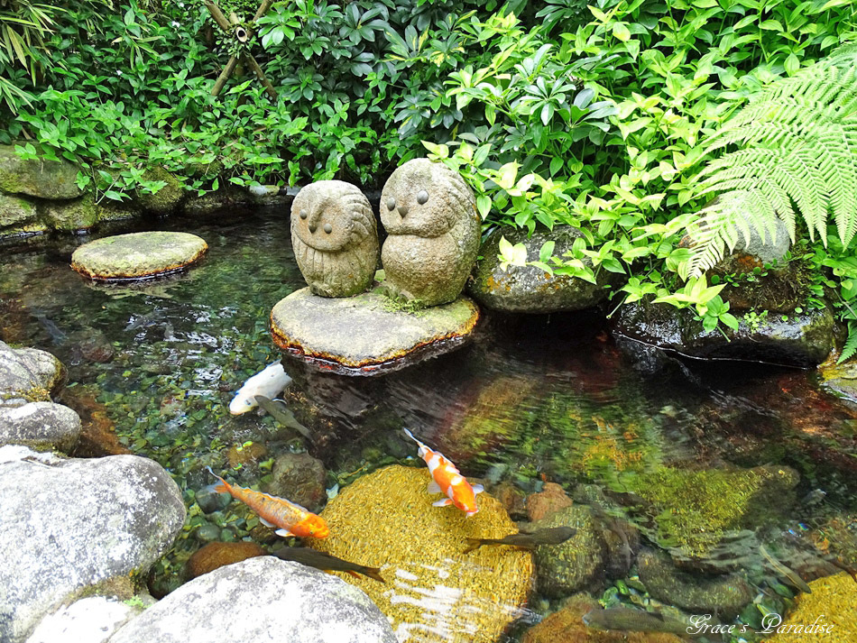 台北奧萬大 (6).jpg 台北奧萬大 (6).jpg