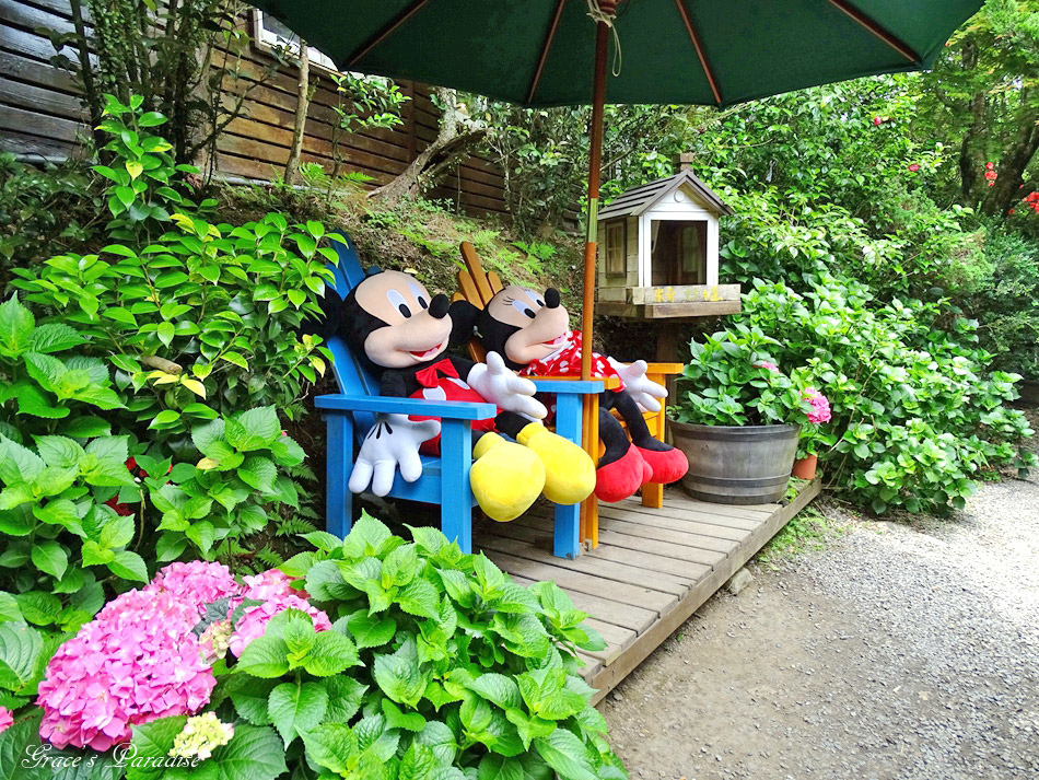 台北奧萬大 (61).jpg 台北奧萬大 (61).jpg