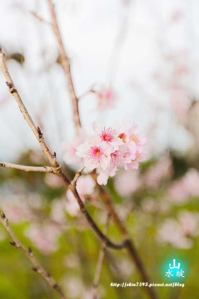 【宜蘭】有家的溫暖『山水綻』包棟電梯優質民宿♥無可挑剔.滿意程度爆錶☺