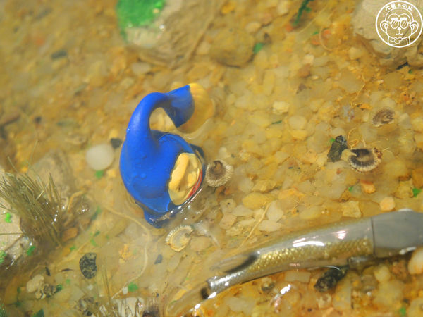 醜比頭的祕密花園:呷飽祙【台北大安・醜比頭的祕密花園】首間醜比頭主題餐廳盛大營運 醜比頭的祕密花園:呷飽祙【台北大安・醜比頭的祕密花園】首間醜比頭主題餐廳盛大營運