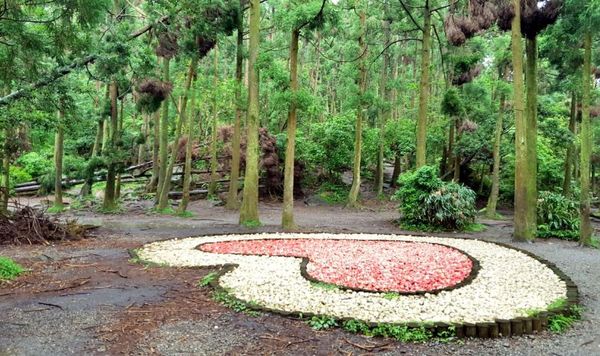 ▌台北小溪頭 • 雙心黑森林 ▌薇拉小公主私房推薦台灣秘境129之5•情侶暖心加溫版限定…