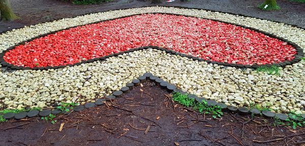 ▌台北小溪頭 • 雙心黑森林 ▌薇拉小公主私房推薦台灣秘境129之5•情侶暖心加溫版限定…