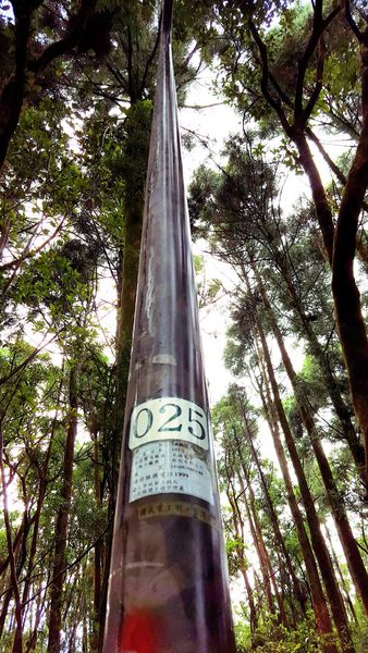 ▌台北小溪頭 • 雙心黑森林 ▌薇拉小公主私房推薦台灣秘境129之5•情侶暖心加溫版限定…