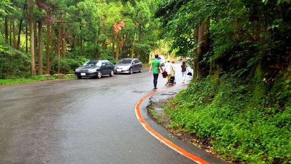 ▌台北小溪頭 • 雙心黑森林 ▌薇拉小公主私房推薦台灣秘境129之5•情侶暖心加溫版限定…