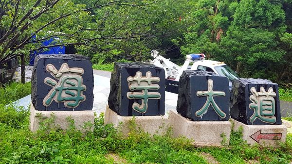 ▌台北小溪頭 • 雙心黑森林 ▌薇拉小公主私房推薦台灣秘境129之5•情侶暖心加溫版限定…