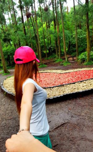 ▌台北小溪頭 • 雙心黑森林 ▌薇拉小公主私房推薦台灣秘境129之5•情侶暖心加溫版限定…