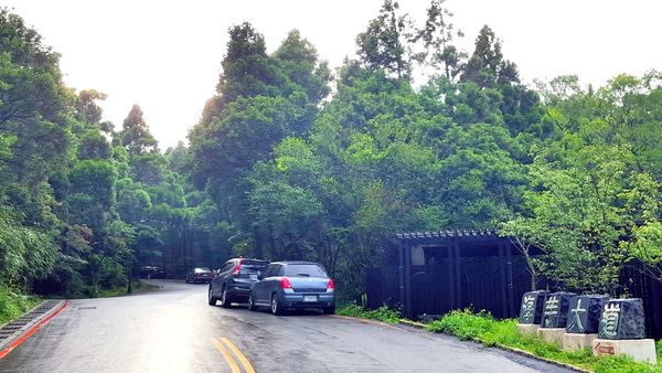 ▌台北小溪頭 • 雙心黑森林 ▌薇拉小公主私房推薦台灣秘境129之5•情侶暖心加溫版限定…