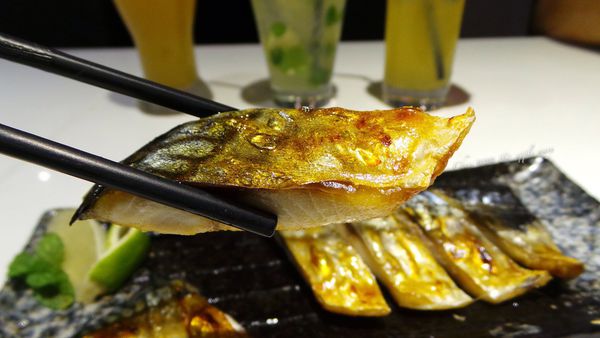 IMG_0205.JPG IMG_0205.JPG