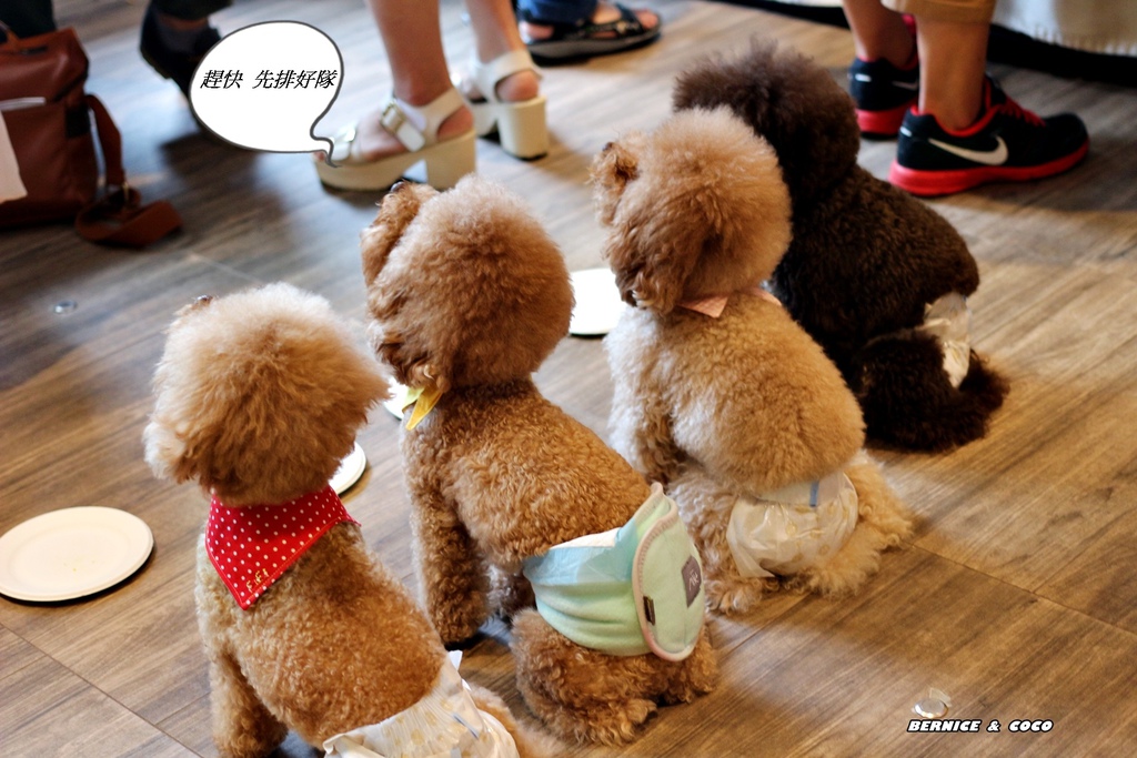 IMG_0240.JPG IMG_0240.JPG