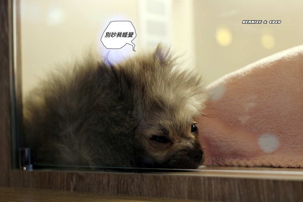 IMG_0252.JPG IMG_0252.JPG