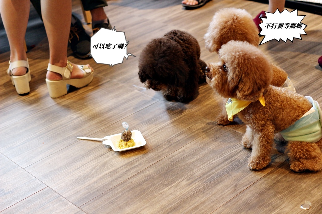 IMG_0223.JPG IMG_0223.JPG