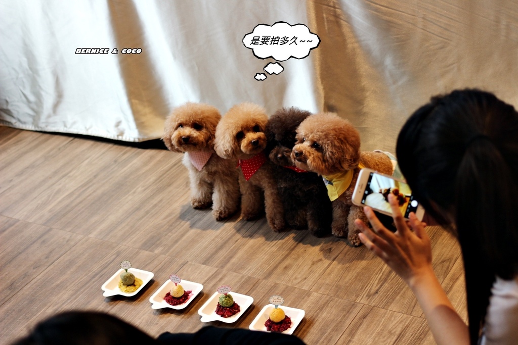 IMG_0247.JPG IMG_0247.JPG