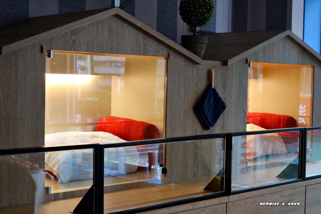 IMG_0207.JPG IMG_0207.JPG