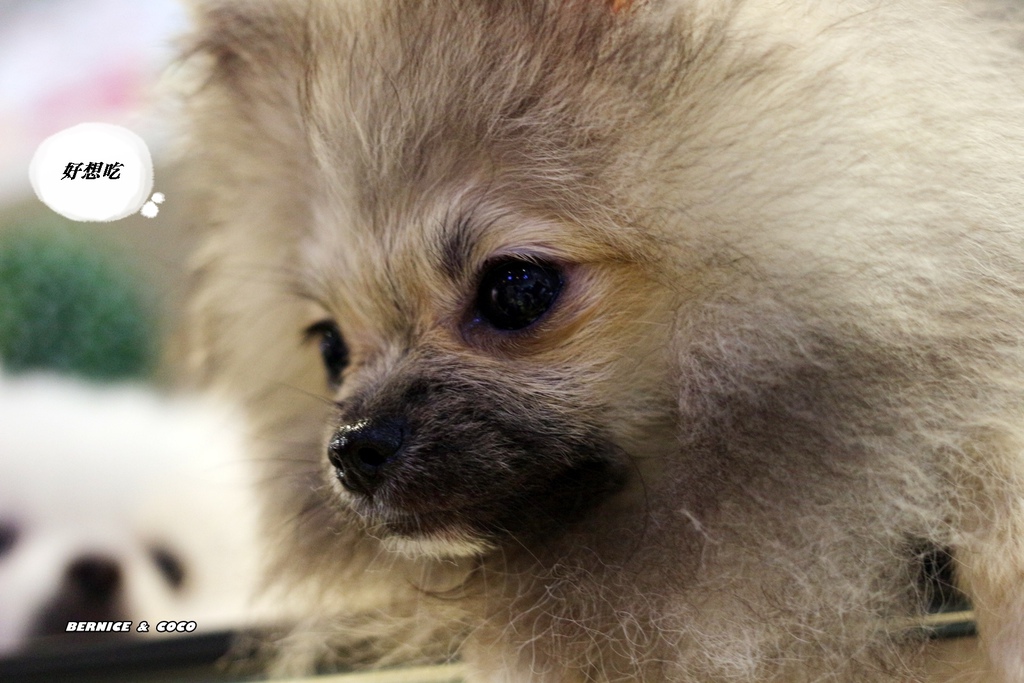 IMG_0228.JPG IMG_0228.JPG