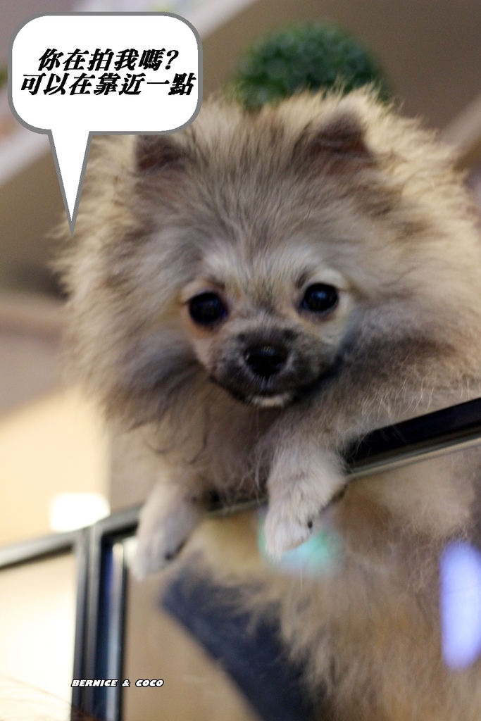 IMG_0222.JPG IMG_0222.JPG