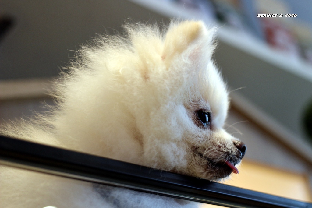 IMG_0231.JPG IMG_0231.JPG