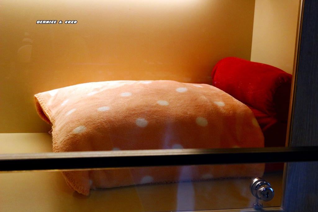 IMG_0203.JPG IMG_0203.JPG