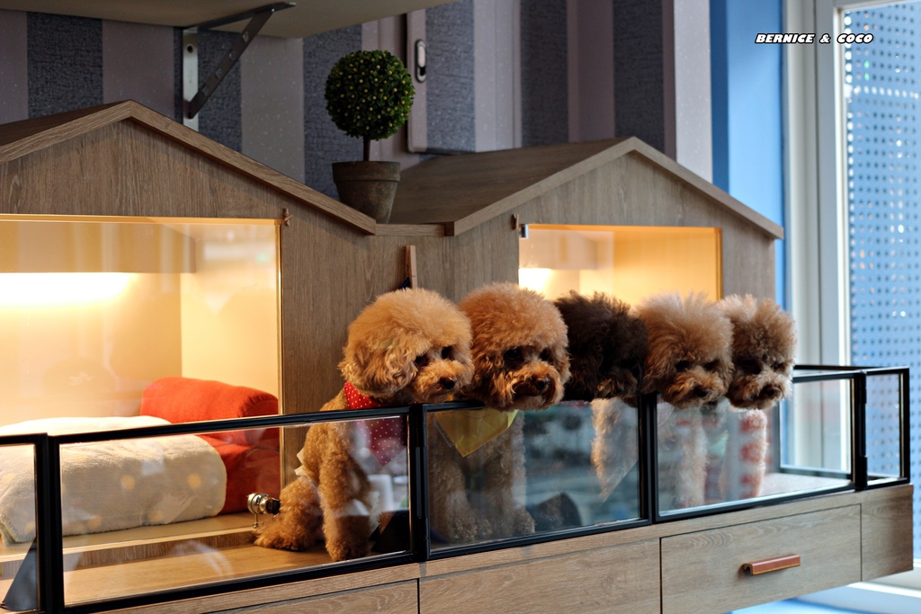 IMG_0243.JPG IMG_0243.JPG