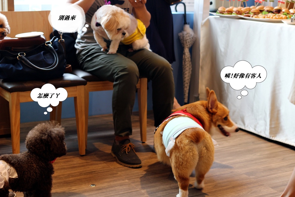 IMG_0217.JPG IMG_0217.JPG