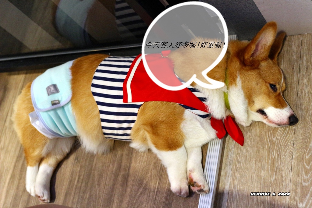 IMG_0258.JPG IMG_0258.JPG