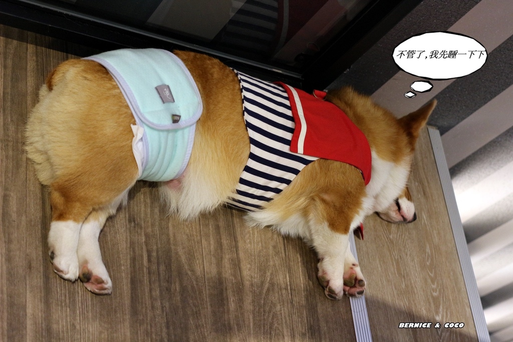 IMG_0265.JPG IMG_0265.JPG