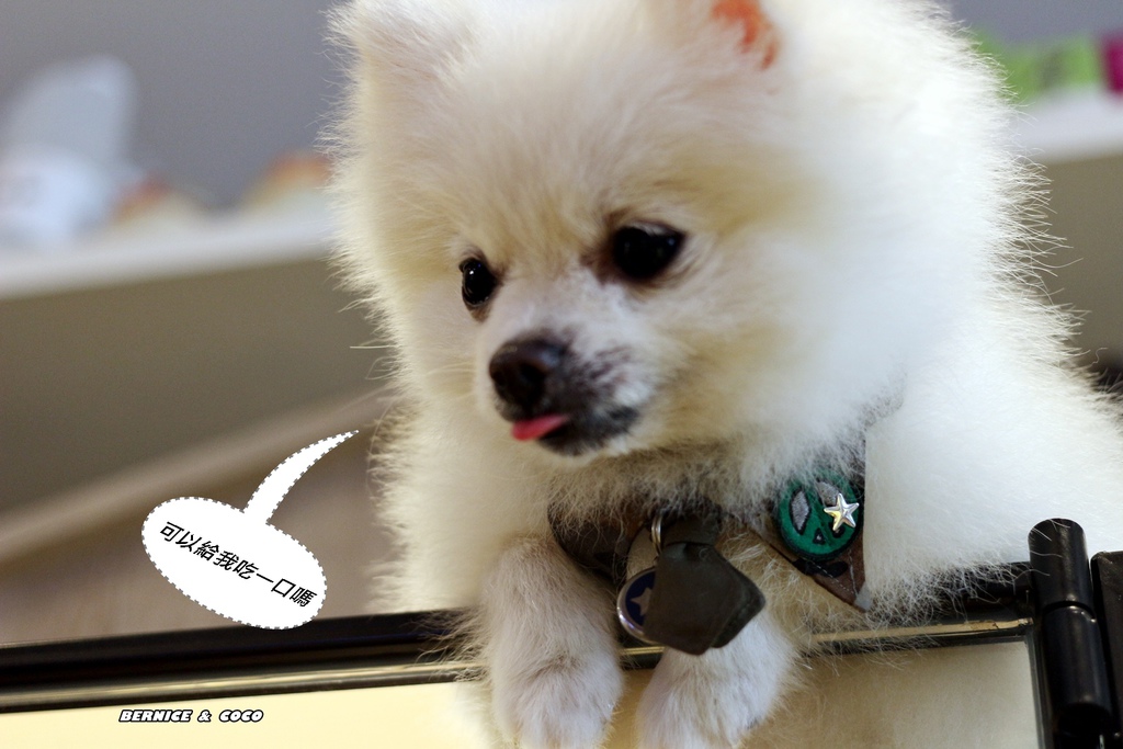 IMG_0241.JPG IMG_0241.JPG