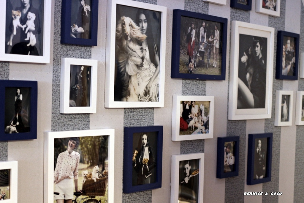 IMG_0266.JPG IMG_0266.JPG