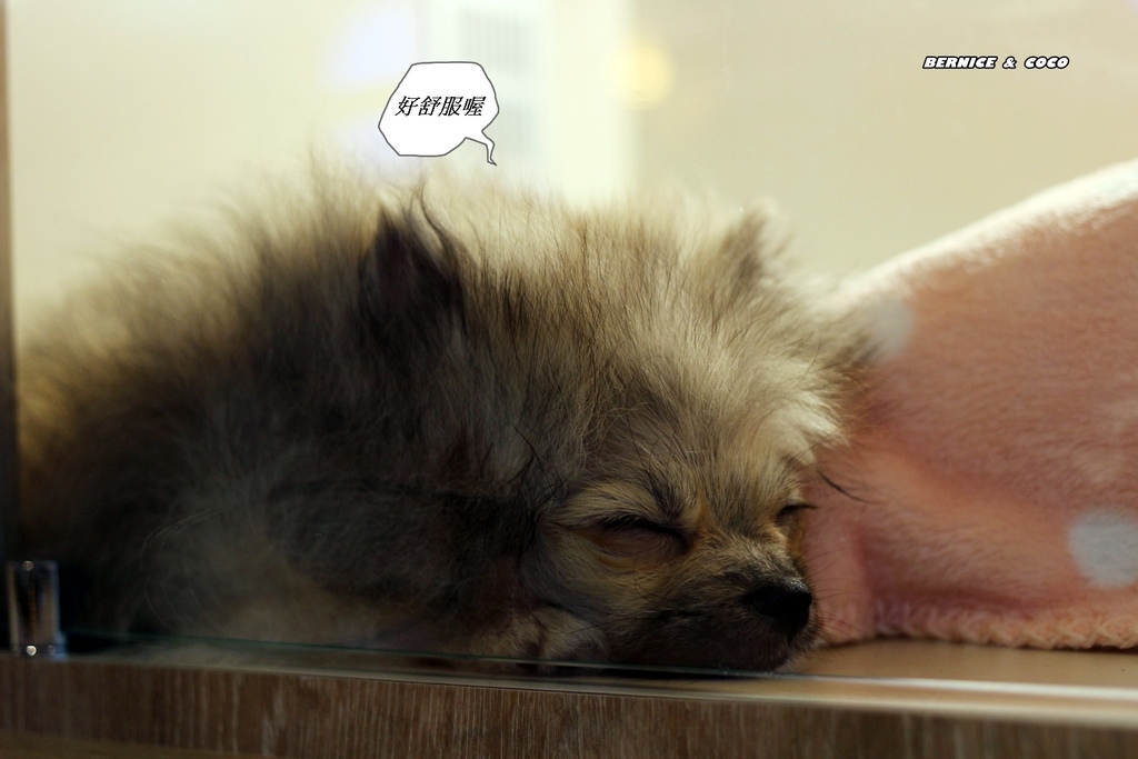 IMG_0255.JPG IMG_0255.JPG