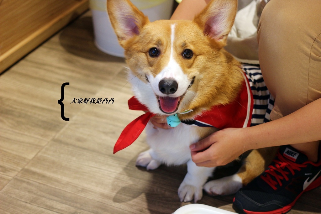 IMG_0211.JPG IMG_0211.JPG