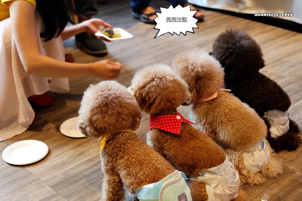 IMG_0230.JPG IMG_0230.JPG