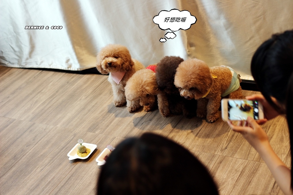 IMG_0248.JPG IMG_0248.JPG