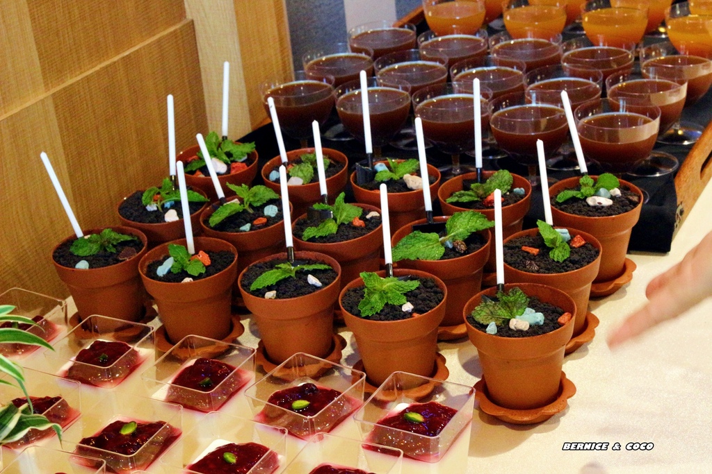 IMG_0177.JPG IMG_0177.JPG