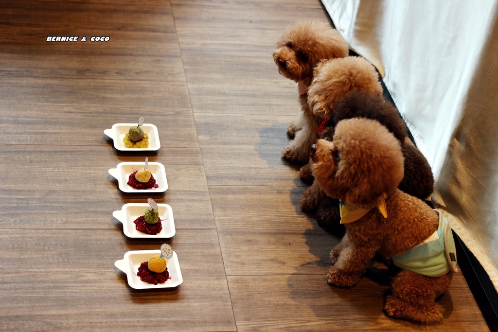 IMG_0250.JPG IMG_0250.JPG