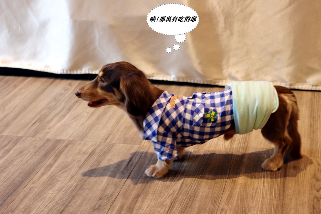 IMG_0218.JPG IMG_0218.JPG