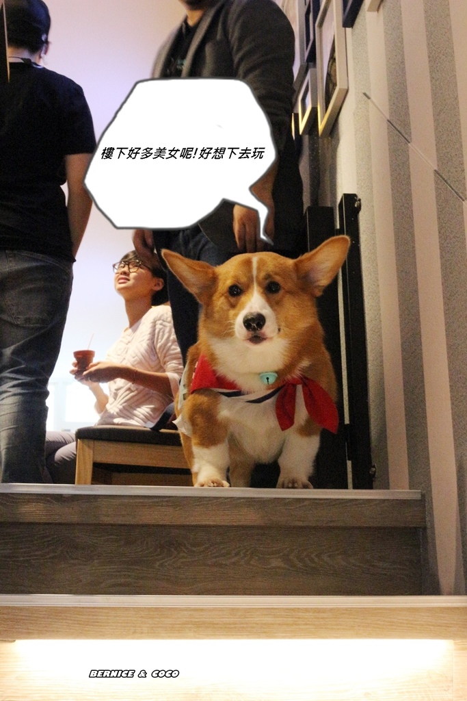 IMG_0277.JPG IMG_0277.JPG