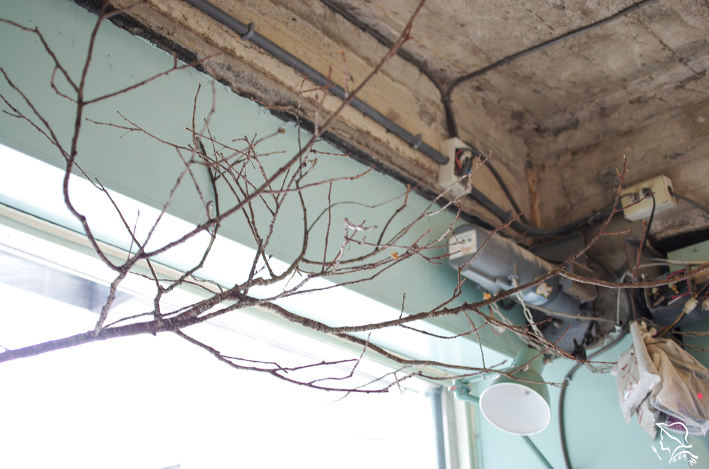 IMGP9232.jpg IMGP9232.jpg