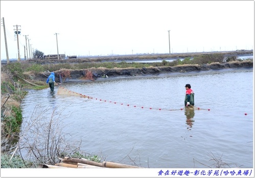 來彰化芳苑的"哈哈漁場"讓你現撈捕魚體驗一日漁夫的樂趣!!