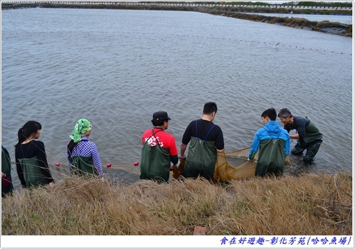 來彰化芳苑的"哈哈漁場"讓你現撈捕魚體驗一日漁夫的樂趣!!