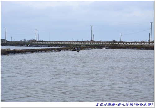 來彰化芳苑的"哈哈漁場"讓你現撈捕魚體驗一日漁夫的樂趣!!