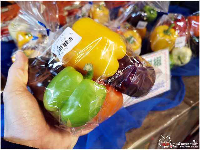 金勇番茄農場 - 056.jpg