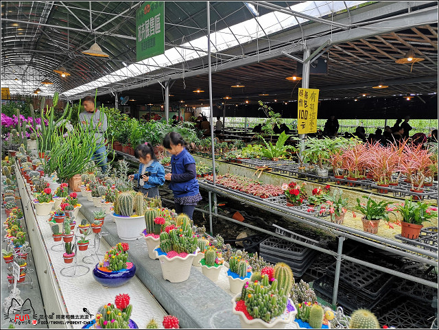 金勇番茄農場 - 007.jpg