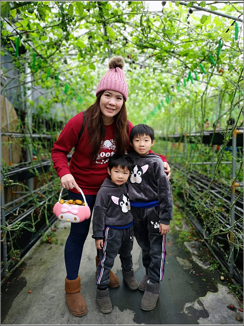 金勇番茄農場 - 047.jpg