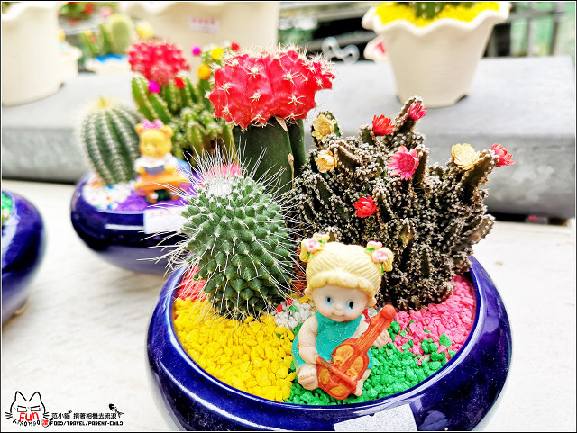 金勇番茄農場 - 006.jpg