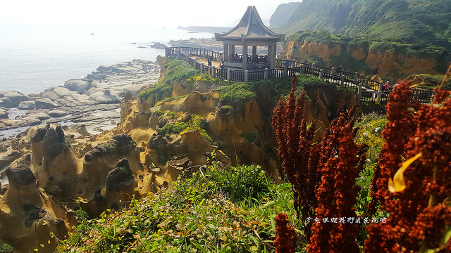 20180520_085621_副本