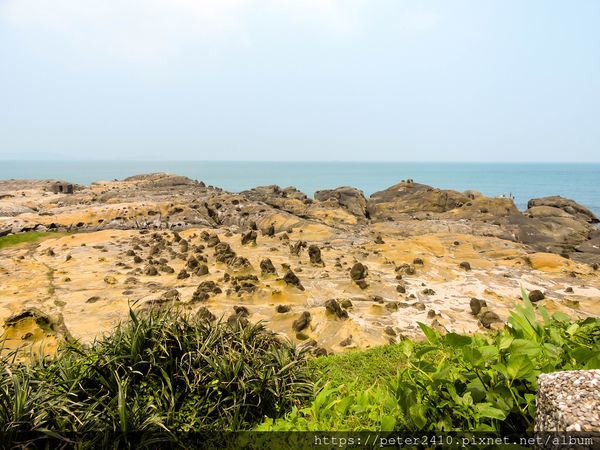和平島地質公園 (60).jpg