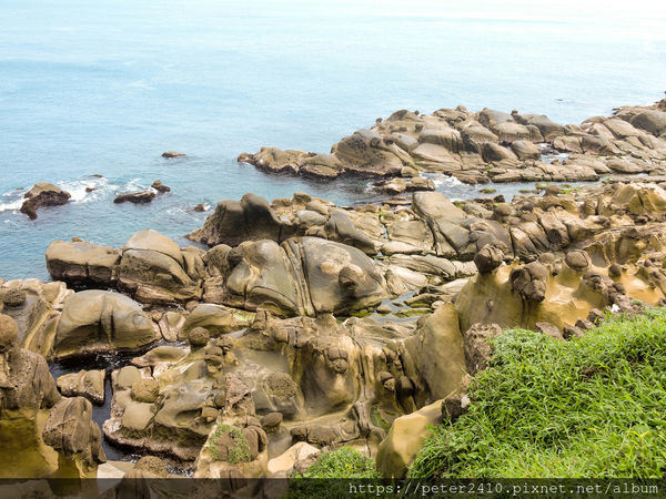 和平島地質公園 (66).jpg