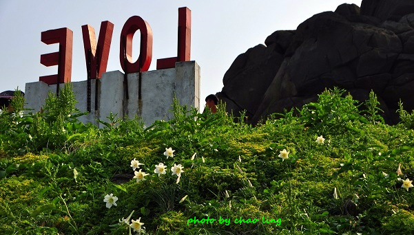 麟山鼻(野合百)-7.JPG - 2016夏之豔陽