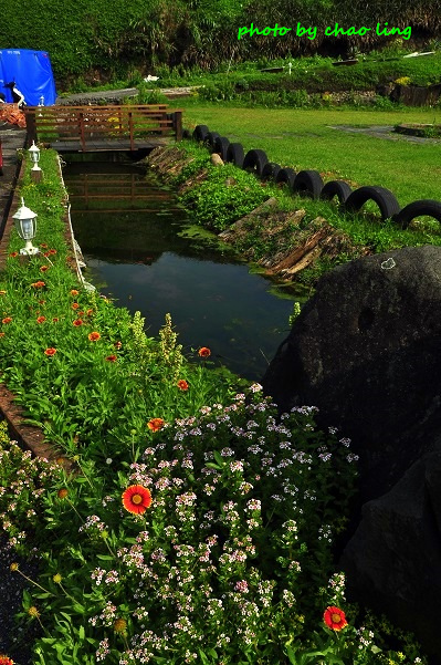 麟山鼻(野合百)-8.JPG - 2016夏之豔陽