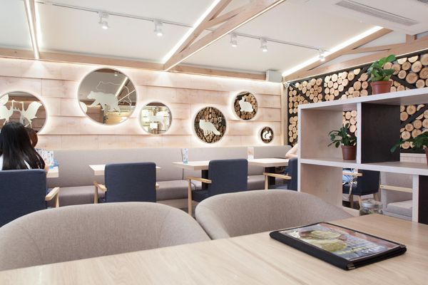 LeTAO小樽洋菓子舖(松菸店) - 17